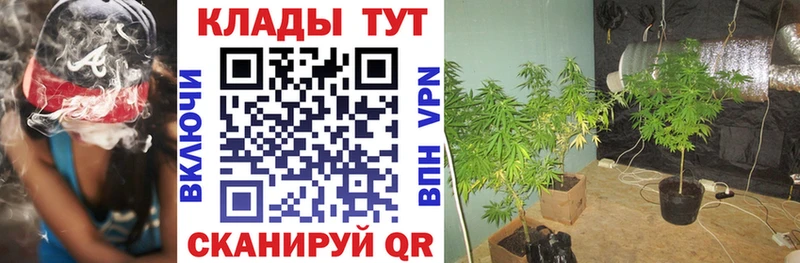 Бошки Шишки Рошаль