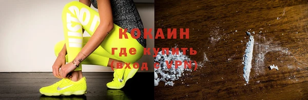 гашик Арсеньев