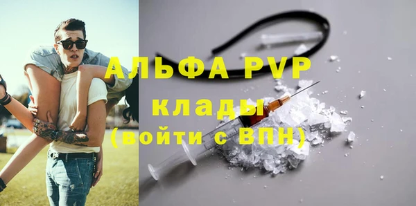 гашик Арсеньев