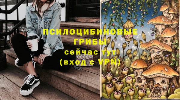 гашик Арсеньев