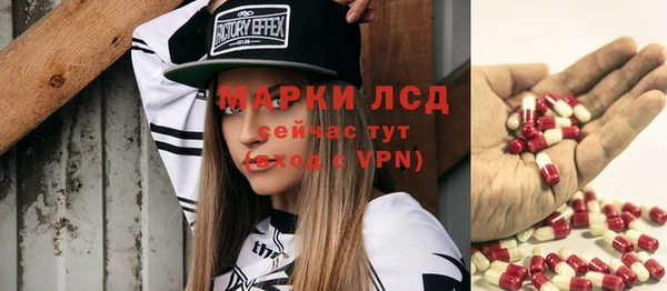 гашик Арсеньев