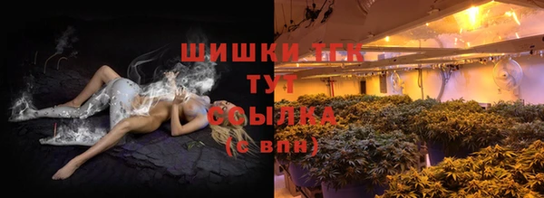 гашик Арсеньев