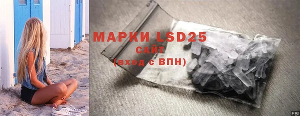гашик Арсеньев