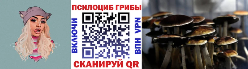 Галлюциногенные грибы мицелий  маркетплейс формула  Рошаль 